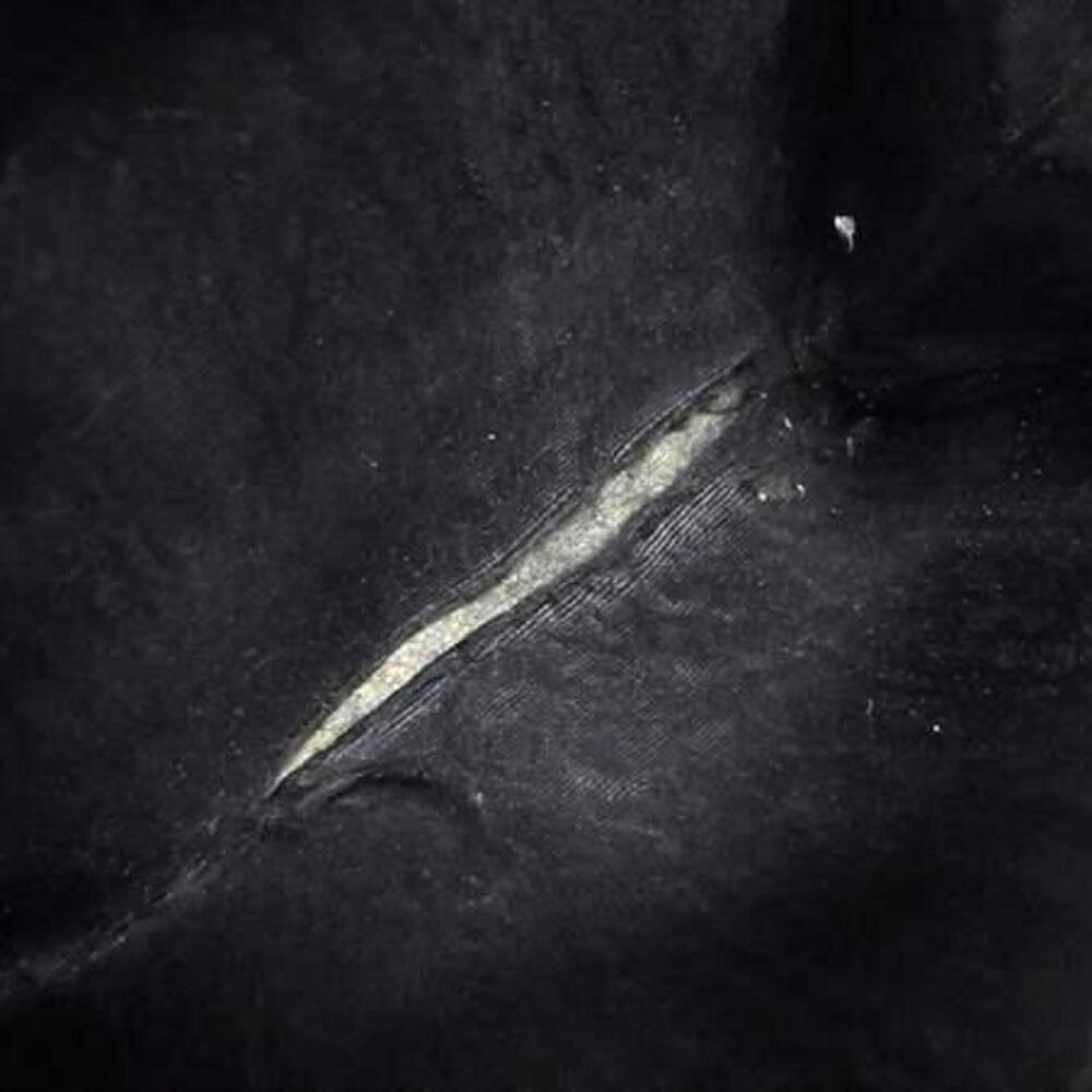 CHANEL Black Caviar Leather Logo Wallet - Picture 10 of 10